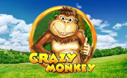 Crazy Monkey